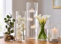 Glass Cylinder Vases: A Buyer’s Guide to Sizes, Styles, and Everyday Uses