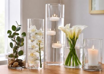Glass Cylinder Vases: A Buyer’s Guide to Sizes, Styles, and Everyday Uses