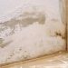 How a Small Leak Turns Into a Mold Problem Hour by Hour